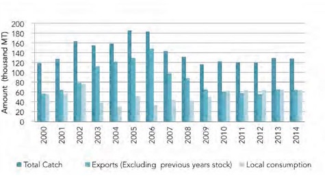 Trend in catch, export and local consumption